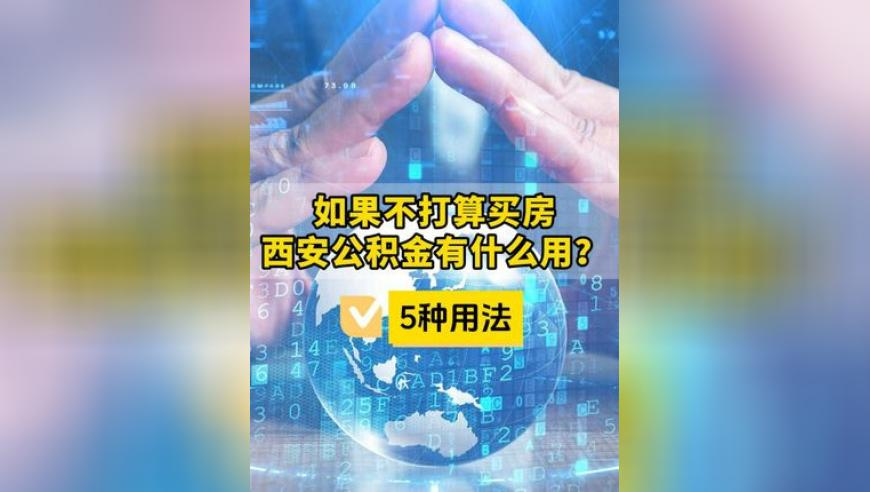NBA,一肖一码澳门一肖,精准解释落实及其象征意义_社交版V13.77