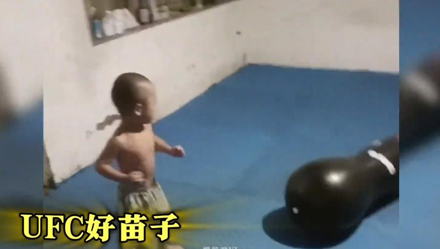 短道速滑接力,2025年奥门新奥彩一肖管家婆,广泛的解释落实支持计划_铂金版V14.19