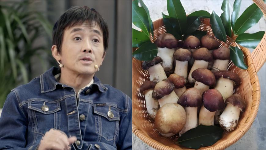 免费资料大全正版网站,解读普京特朗普通话,整体规划执行讲解_移动版V15.70