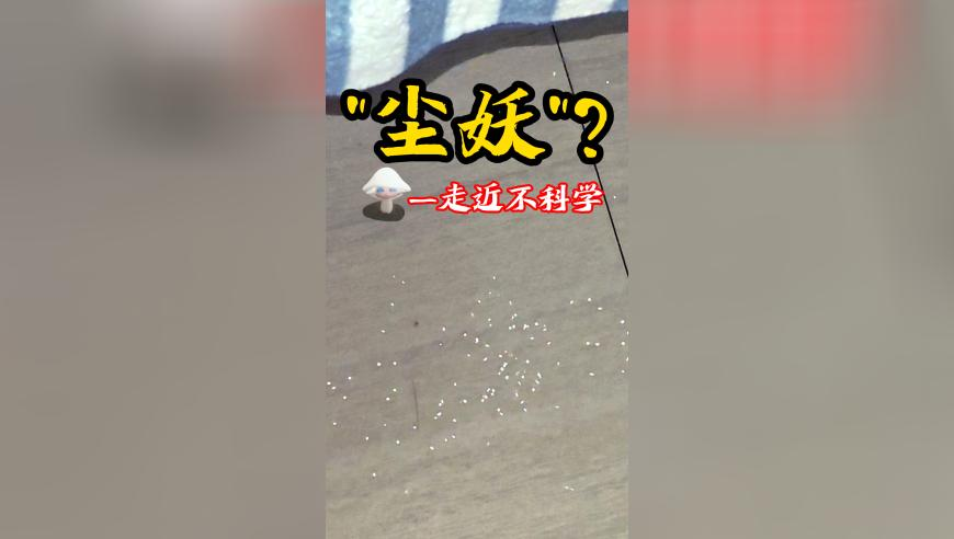 2025年17号 澳门码开什么,大S相册仍留着和汪小菲合影,详细释义解释落实_模拟版V10.21