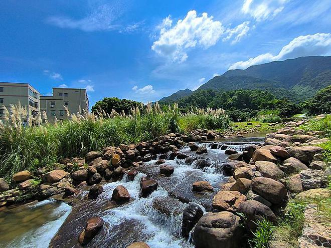 冬季旅游的突然火爆：新潮流的诞生与原因